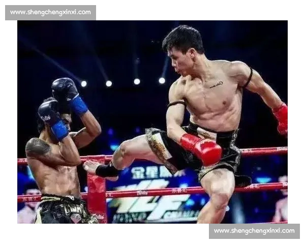 省过与播求激烈对决 谁能成为搏击王者的终极挑战