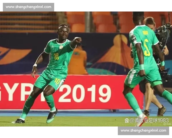 塞内加尔vs焦点之战解析球队实力与战术走向前瞻比赛看点全解