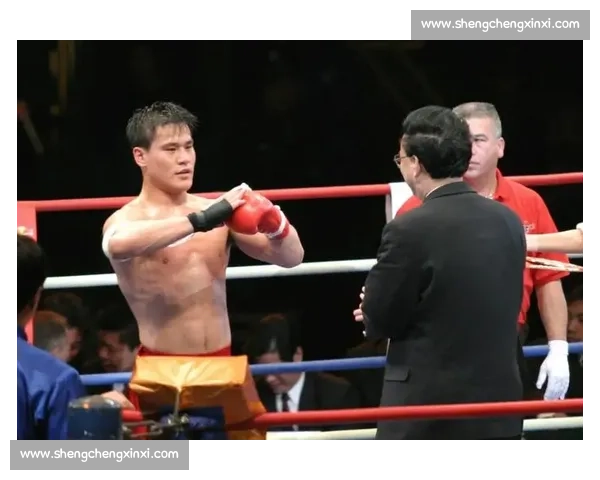 柳海龙vs巅峰对决全景解析中国格斗黄金时代记忆传奇人物成长轨迹