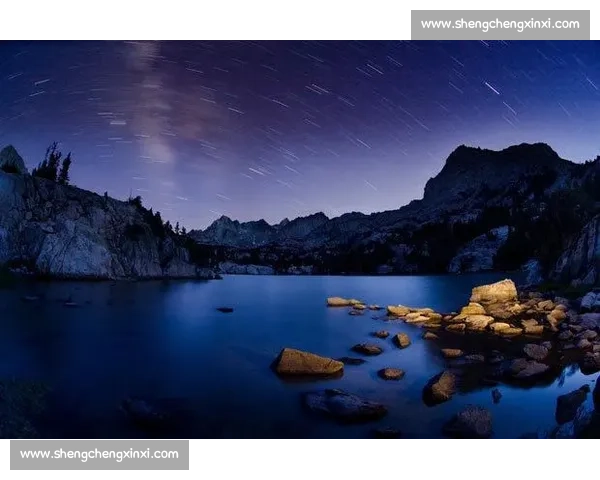 野牛对决棕熊力量耐力与生存智慧的巅峰较量自然荒原中的终极对抗