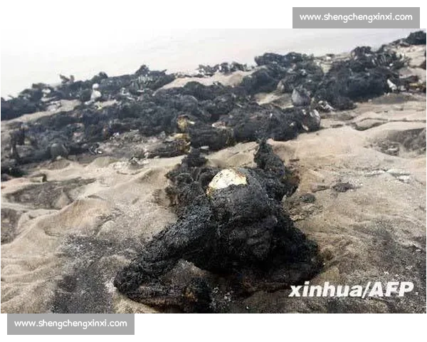 中尼日利亚vs中国多领域对比与合作前景深度观察现状与趋势分析